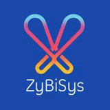 Zybisys Consulting Services