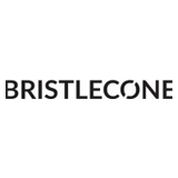 Bristlecone