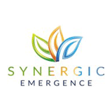 Synergic Emergence