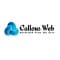 Callous Web Private Limited