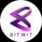 Bitwit Technologies