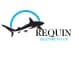 Requin Solutions Private Limited                        
                                                    Actively hiring