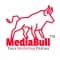 MediaBull Marketing Private Limited