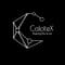 CalciteX Cybernetics LLP