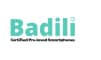 Badili                        
                                                    Actively hiring
