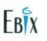 Ebixcash Global Services Private Limited