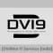 DVI9 IT Services [India]