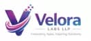 Velora Labs LLP                        
                                                    Actively hiring