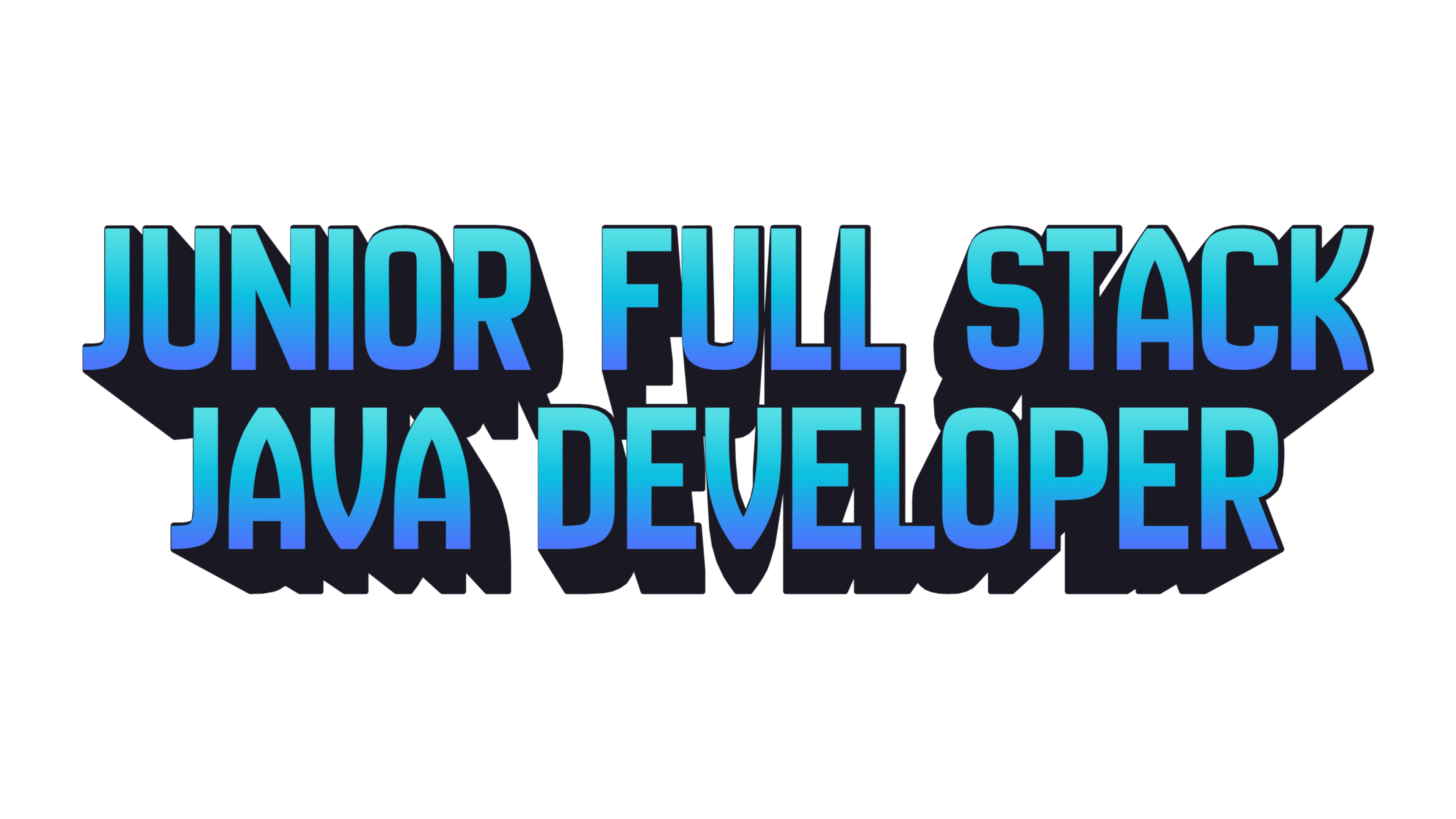 Junior Full Stack Java Developer