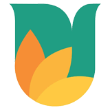 Ujjivan Small Finance Bank