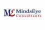 MindsEye Consultants