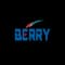 Berry Alloys Limited